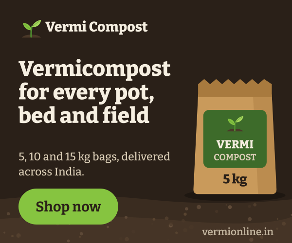 Vermionline