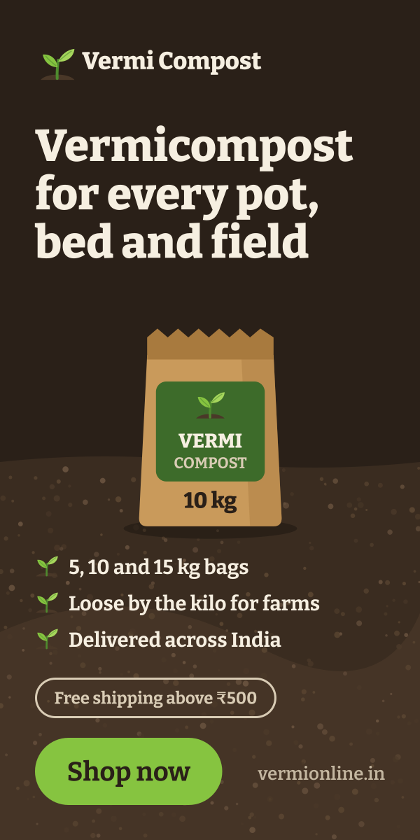 Vermionline