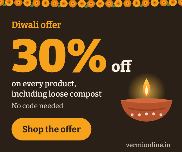 Vermionline Diwali