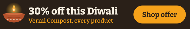 Vermionline Diwali
