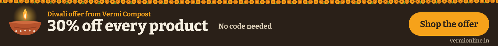 Vermionline Diwali
